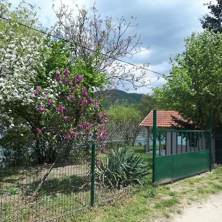 Dedin Raj Villa Golubac Exterior photo